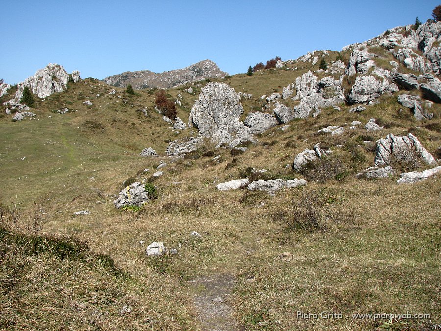 cancervo 133.jpg - Dalla Baita del Cancervo il sentiero 130 a destra ci porta verso cima Cancervo (1840 m.)